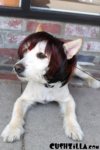 cushzilla-bowlcut-dog-wig-cat-wig-120-02