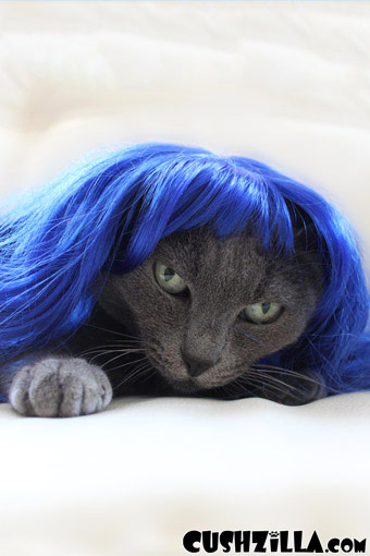 cushzilla-dog-wig-cat-wig-111-03.jpg