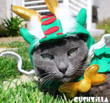 Dragon Costume for Cats & Dogs from Cushzilla