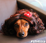 Cat Wig / Dog Wig: Cushzilla Curly Brunette Wig for Cats & Dogs